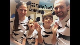 Halloween Family Costume Under $20!!! DIY // Quick Cheap Zebra Family Costume