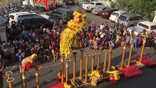 Cambodia lion dance 2018 part 1