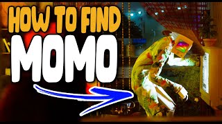 Stray How To Find Momo