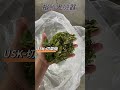 單用切草機 切菜機如何操作 九尾草 牧草機 仙草乾 切斷機 稻草機 【裕勝光機器】 shortstw shortsvideo