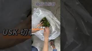 單用切草機/切菜機如何操作/九尾草/牧草機/仙草乾/切斷機/稻草機/【裕勝光機器】#shortstw#shortsvideo