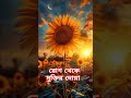 আসিফ_হুজুর রোগমুক্তি দোয়া কুরআন_ও_হাদিস সুস্থতা আল্লাহ মোহাম্মাদ ইসলামিকভিডিও shorts