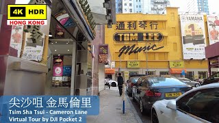 【HK 4K】尖沙咀 金馬倫里 | Tsim Sha Tsui - Cameron Lane | DJI Pocket 2 | 2022.04.07