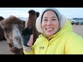 여자 둘이 떠난 겨울 여행❄️생각보다 괜찮은데