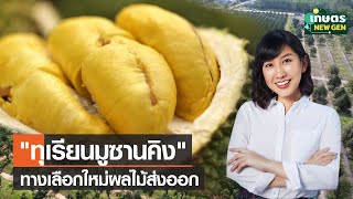 ทุเรียนพันธุ์ 