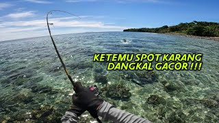 Ngoyor UL casting on shallow reef edges using minnows looking for lunch side dishes until I went ...