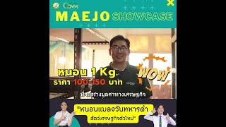 Maejo Showcase | หนอนแมลงวันทหารดำ