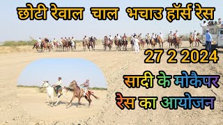 भचाउ हॉर्स  रेस छोटी रेवाल चाल   सादी के मोकैपर रेस का आयोजन 27 2 2024 CHOTI REWAL CHAL