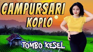 CAMPURSARI KOPLO FULL ALBUM YANG SELALU DI CARI BUAT TEMAN KERJA TOMBO KESEL