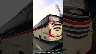 Armada PO.Primajasa #bus #bussid #bismania #bis #shorts #short #shortsvideo #shortvideo #turkey