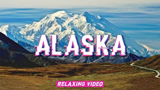 Do You Know What's In Alaska?! - Animal Wildlife || Relaxing Video Sound