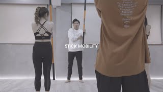 FLAIR - Stick Mobility®