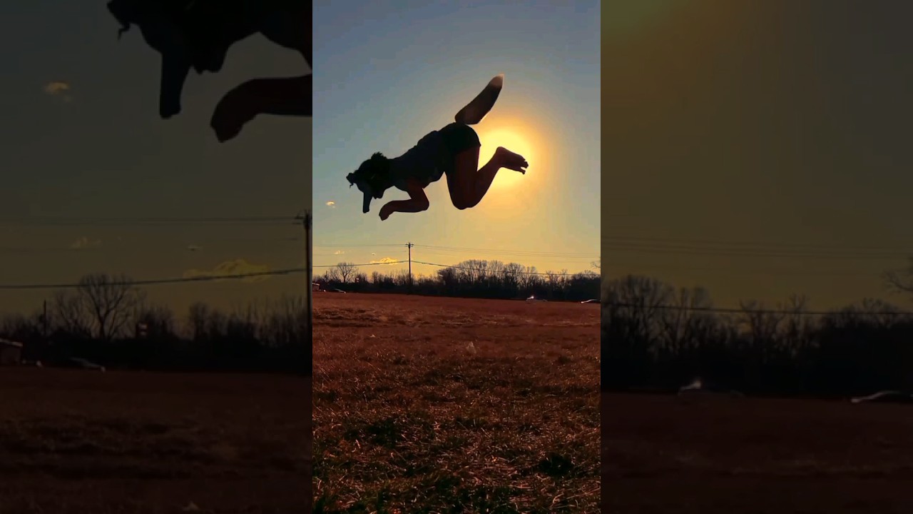 Swalalala Therian Therianthropy Alterhuman Quadrobics Youtube
