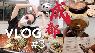 成都最后一个吃播,第三斤来了!｜藏在家属院的爱妻牛排火锅, 川音附近宝藏小馆们｜ CHENGDU VLOG