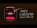 How to Track Daily Calorie Expenditure Apple Watch (tutorial)