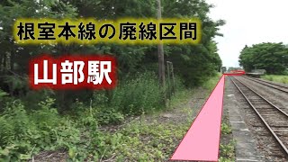 【廃線になる根室本線】山部駅の千鳥式ホームを端から端まで歩いた風景