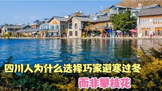 四川人为什么选择巧家避寒过冬，而非攀枝花