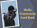 progress wollo community seed bank