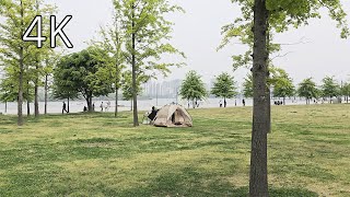 Seoul Walking Tour : Yeouido Hangang Park, Business District - 4k HDR