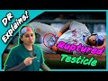 Broken BALLS | WORST Baseball INJURY | Sports Medicine Doctor Explains (GRUESOME)