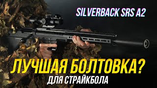 ЛУЧШАЯ СНАЙПЕРСКАЯ ВИНТОВКА ДЛЯ СТРАЙКБОЛА? SILVERBACK SRS A2.