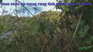 Mus ntau na tsuag raug dab phim nyuj vai hem 12/26/2019