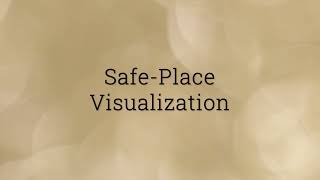 Safe-Place Visualization Demonstration