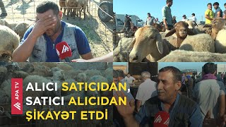 Qurban bayramı ərəfəsində Sabirabad mal bazarında vəziyyət necədir? – APA TV