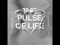 carles souza the pulse of life