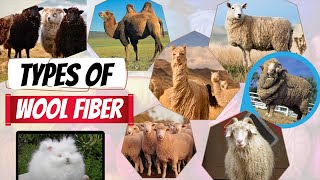 Different Types of wool fiber