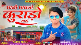 🎶 पानी पावलो कुराड़ो मारो... Pani Pavlo Kurado Maro 🎙️ सिंगर सोहन बामनिया Aadawasi New Song 2025