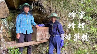 阿公悬崖峭壁上割蜂蜜，收获300斤，阿嬷古法制作蜂蜡和蜂巢糖