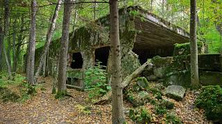 The Wolf's Lair: Exploring Hitler's Abandoned Eastern Front HQ