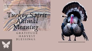 Turkey Symbolism Spirit Animal - does turkey have a message for you?