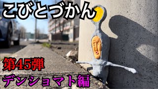 【こびとづかん】デンショマト見つけるまで帰れま10！！！