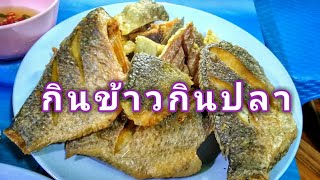 มากินข้าวกินปลากันเด้อ | ดิน สุปกิจ