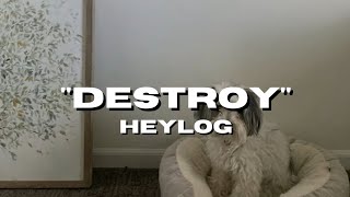 heylog - destroy