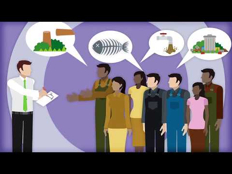 How do you assess the impact of something?