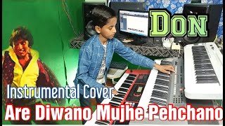 Arey Deewano Mujhe Pehchano (Main Hoon Don) Instrumental Cover By-Krishna Murari