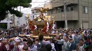 平成24年　葛西・長島八雲神社　例大祭　本社神輿＝二基連合渡御