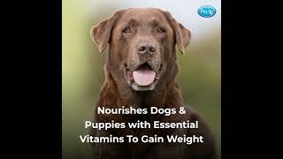 Dyne® High Calorie Liquid Nutritional Supplement For Dogs \u0026 Puppies