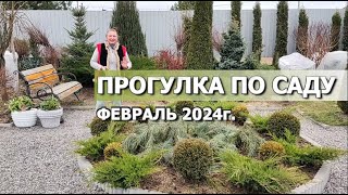 ПРОГУЛКА ПО САДУ ФЕВРАЛЬ 2024г. Планирую газон, новые рододендроны, теплицы, фруктовый сад, пионы..