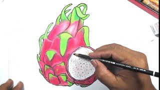 menggambar buah naga