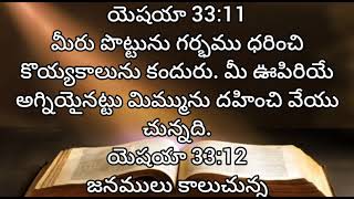 యెషయా | 33 వ అధ్యాయము | audio bible telugu | livingwordstanuku