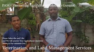 Pioneering Agricultural Services Guyana (PASG)