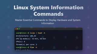 Linux System Information Commands: Essential Guide for Beginners
