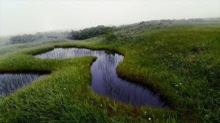 月山八合目弥陀ヶ原