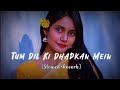 Tum Dil Ki Dhadkan Ho | Slowed & Reverb | Lo-fi Song #slowreverb #lofi #dhadkan #kumarsanu