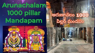 అరుణాచలం 1000 పిల్లర్ మండపం 🙏| Arunachalam Temple | 1000 Pillar Mandapam#omnamahshivaya