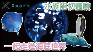 呆你玩個Go[桃園青埔]日本八景島水族館來台灣?!!開箱北部最大水族館|Xpark水族館